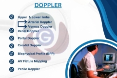 WhatsApp-Image-2025-09-03-at-3.37.02-PM