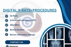 WhatsApp-Image-2025-09-03-at-3.37.05-PM